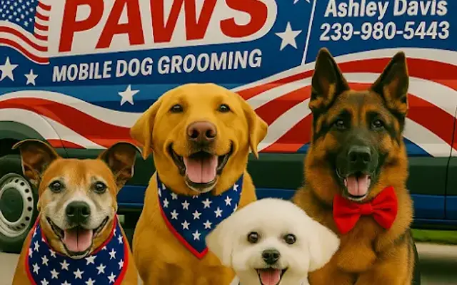 Freedom paws mobile groomer in Bonita Springs, FL