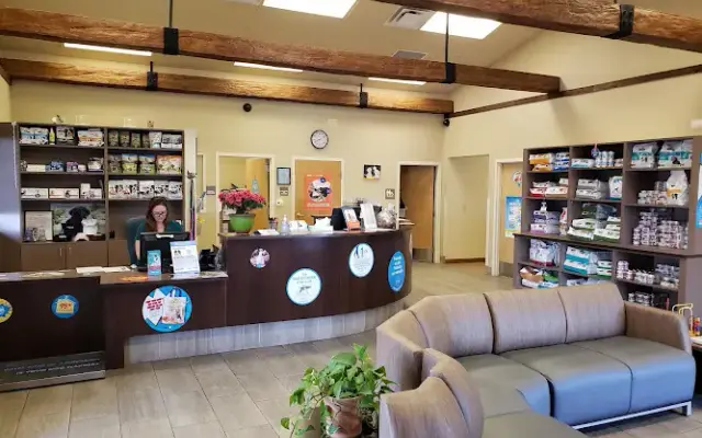 VCA Town and Country Animal Hospital in Albuquerque, NM