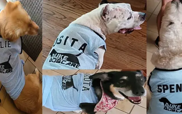 Duke Dog Care in Woodridge, IL