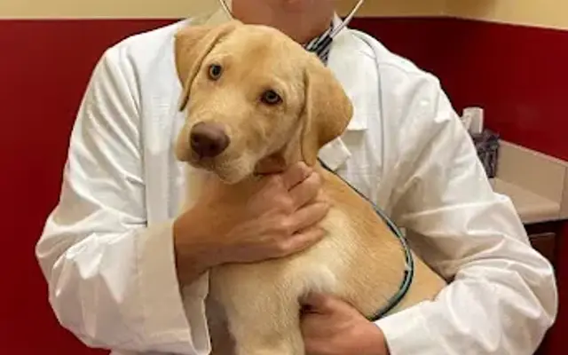 Animal Care Hospital in Oakland, TN