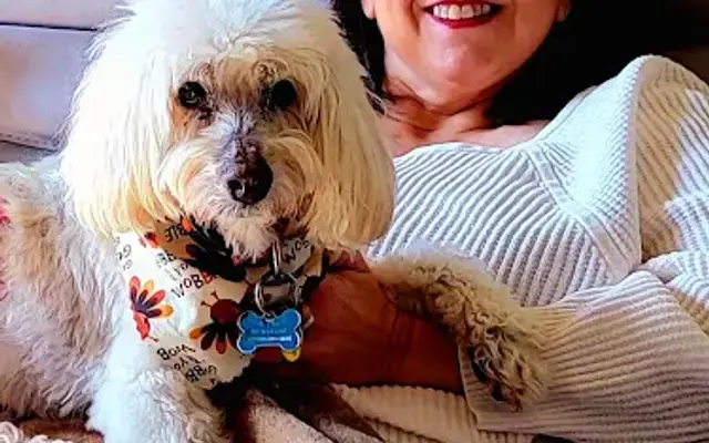 Watauga Animal Hospital in Fort Worth, TX