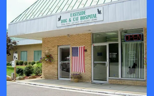 Eastside Dog & Cat Hospital: Dr Elizabeth Anselmo in Chesterland, OH