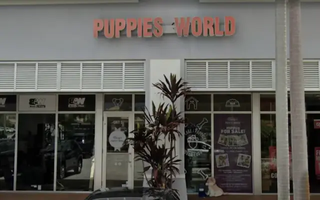 Hairy's Puppies World - Miami Puppy Store in Doral, FL