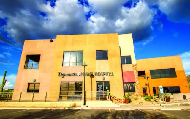 Dynamite Animal Hospital in Scottsdale, AZ