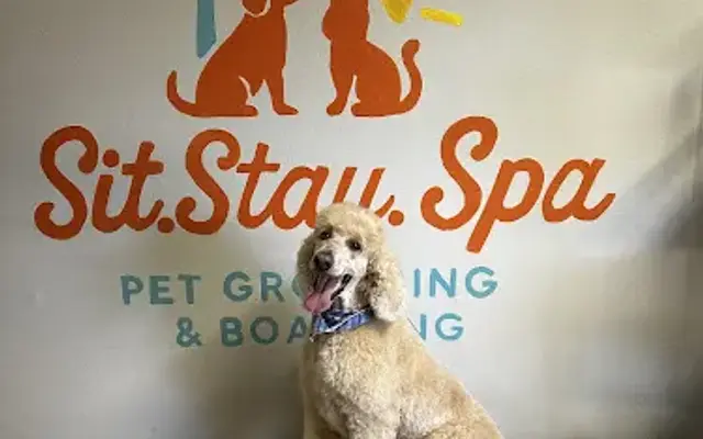 Sit.Stay.Spa in Gulf Breeze, FL