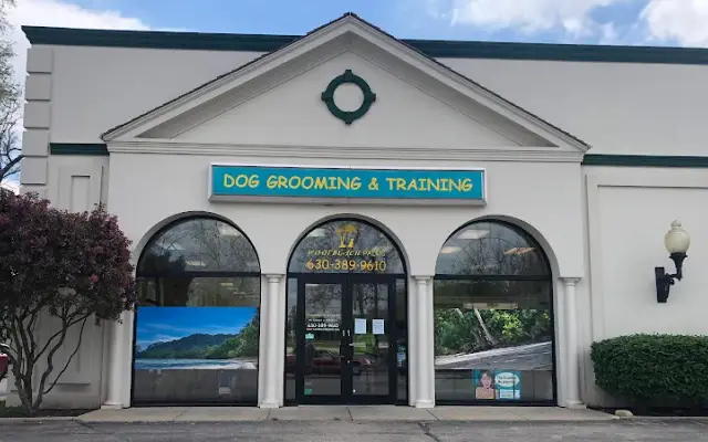Woofbeach Palms in Geneva, IL