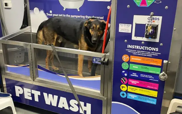 Self Serve Pet Wash Victor in Victor, NY