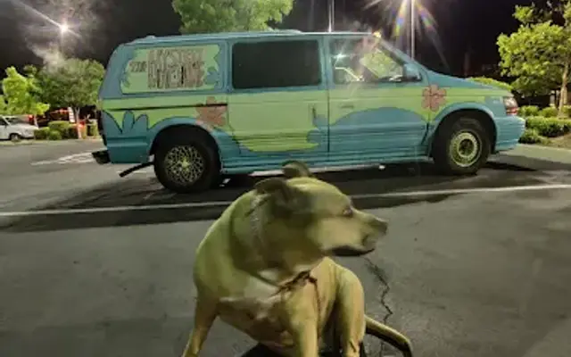 Doggy Pampering in Redding, CA