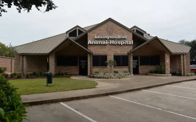 VCA Lexington Boulevard Animal Hospital in Sugar Land, TX