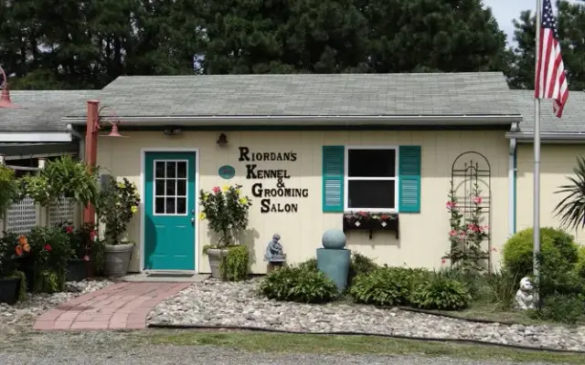 Riordan's Kennels & Grooming Salon in Mays Landing, NJ