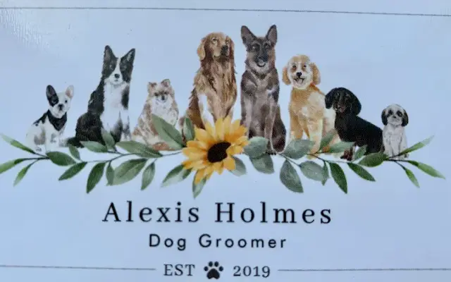 Alexis Holmes Dog Groomer LLC in Levering, MI