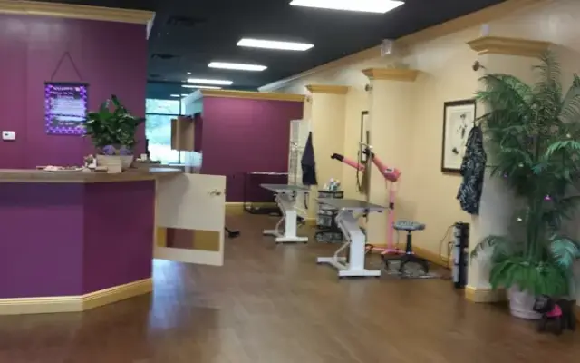 Julie's Groom and Glamor Pet Salon in Land O' Lakes, FL