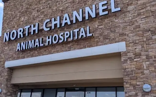 North Channel Animal Hospital in Houston, TX