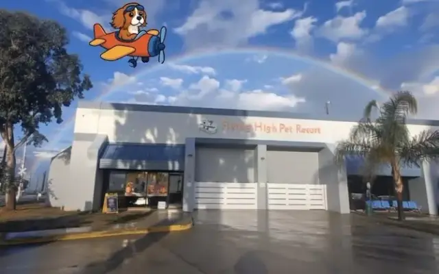 FLYING HIGH PET RESORT in Camarillo, CA