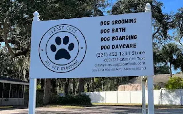 Classy Cuts APG Dog services Grooming & Bath in Merritt Island, FL