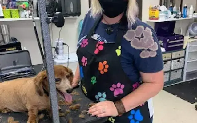 The Pooch paws and spas in Eagle Rock, MO