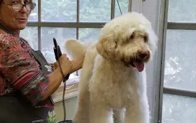 Bark Place Hotel & Pet Grooming in Largo, FL