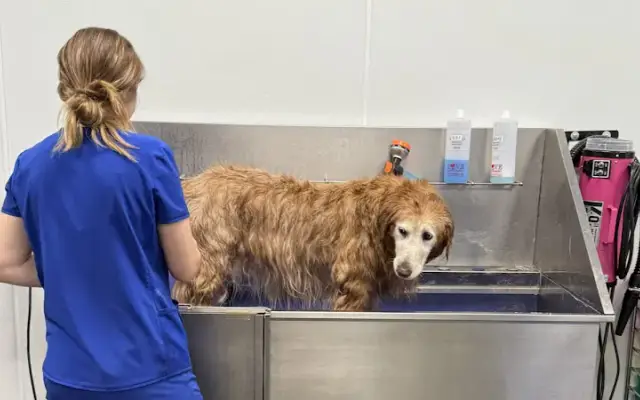 BarkSuds in Magnolia, TX
