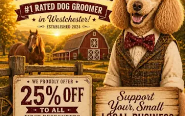 Little Bedford Groomers in Bedford, NY