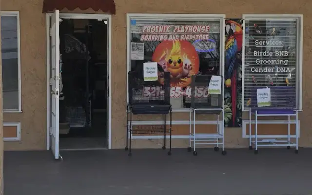 Phoenix Playhouse Boarding and Bird Store in Winter Springs, FL