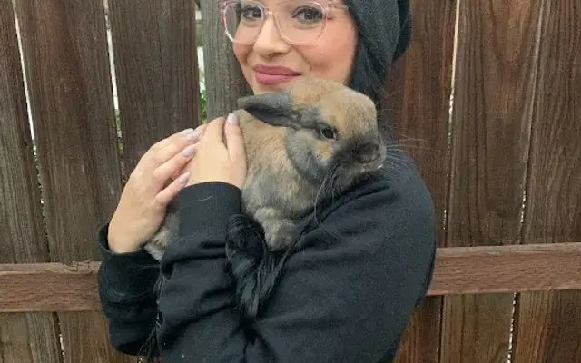Lux Bunny Grooming Co in San Pedro, CA