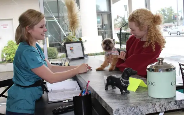 D'tails Pet Salon in Lodi, CA