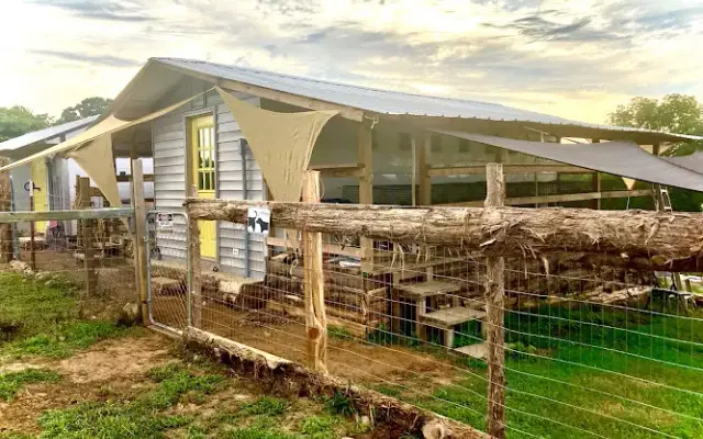Dog Grooming and Boarding of Spiro OK in Spiro, OK