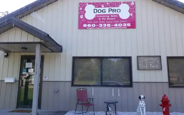 Dog Pro in Sweet Springs, MO