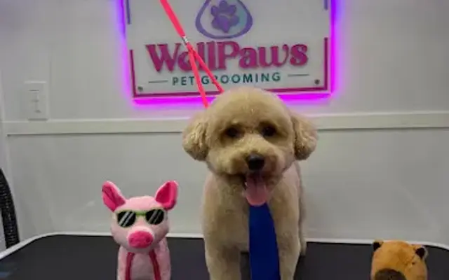 WellPaws Pet Grooming in Miami Springs, FL