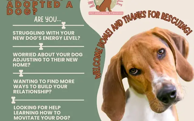 Anything's Pawsible LLC in Kingston, NY